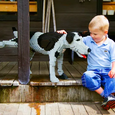 Dreng Og LEGO Hund Web