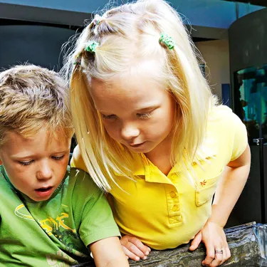 Dreng Og Pige Med Søstjerne 1 1920X1080px