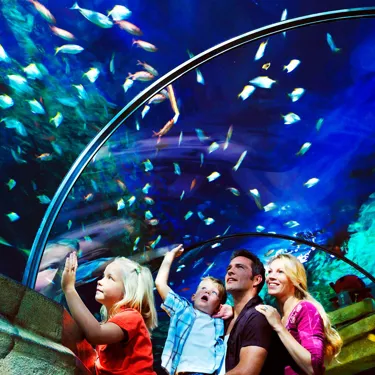 Familie I Tunnellen 1920X1080px